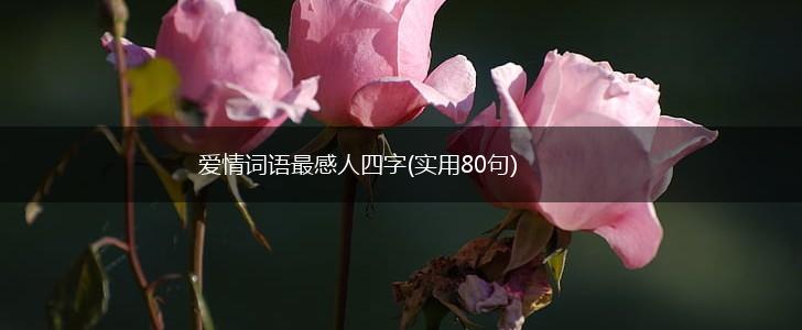 爱情词语最感人四字(实用80句),第1张