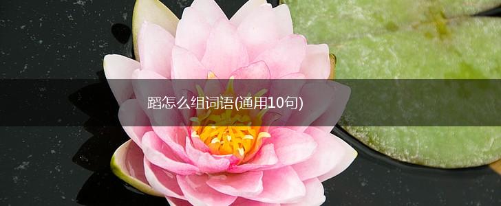 蹈怎么组词语(通用10句),第1张