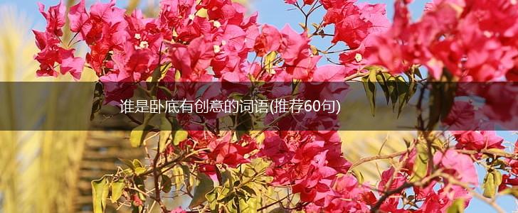 谁是卧底有创意的词语(推荐60句),第1张