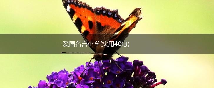 爱国名言小学(实用40句),第1张