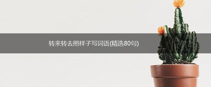 转来转去照样子写词语(精选80句),第1张