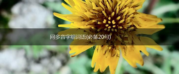 问多音字组词语(必备20句),第1张