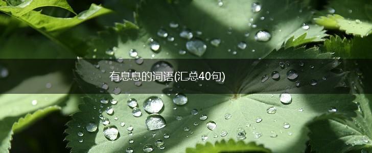 有息息的词语(汇总40句),第1张