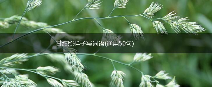 甘甜照样子写词语(通用50句),第1张