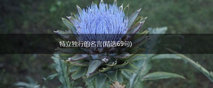 特立独行的名言(精选69句),第1张