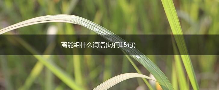 离能组什么词语(热门15句),第1张