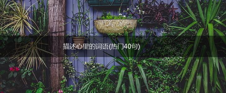描述心里的词语(热门40句),第1张