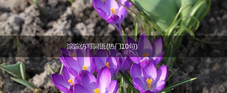 淙淙仿写词语(热门10句),第1张