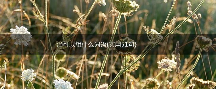 治可以组什么词语(实用51句),第1张