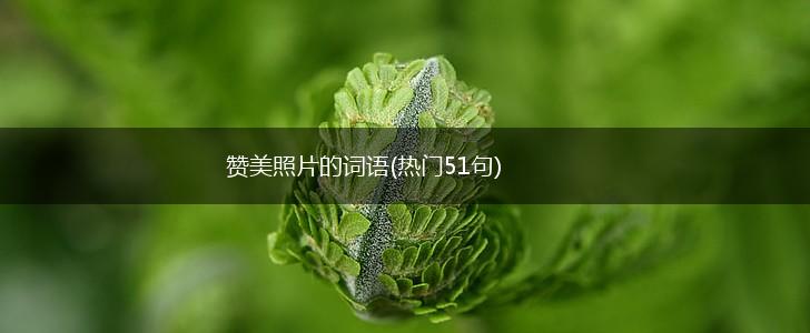 赞美照片的词语(热门51句),第1张