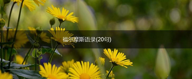 福尔摩斯语录(20句),第1张