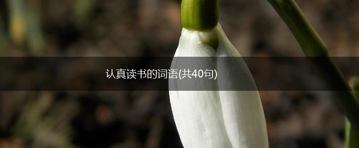 认真读书的词语(共40句),第1张