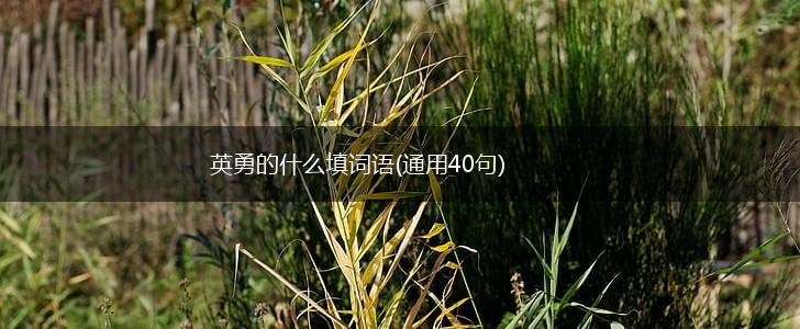 英勇的什么填词语(通用40句),第1张