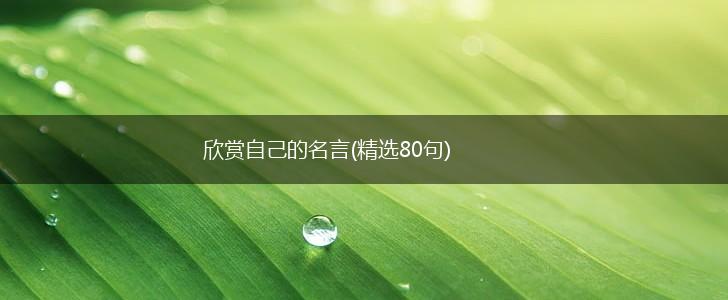 欣赏自己的名言(精选80句),第1张 欣赏自己的名言(精选80句),第1张