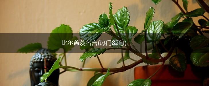 比尔盖茨名言(热门82句),第1张