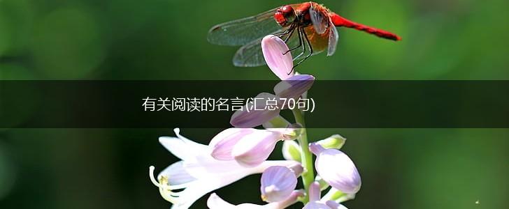 有关阅读的名言(汇总70句),第1张