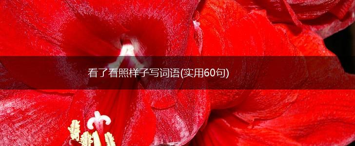 看了看照样子写词语(实用60句),第1张