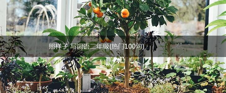 照样子 写词语二年级(热门100句),第1张
