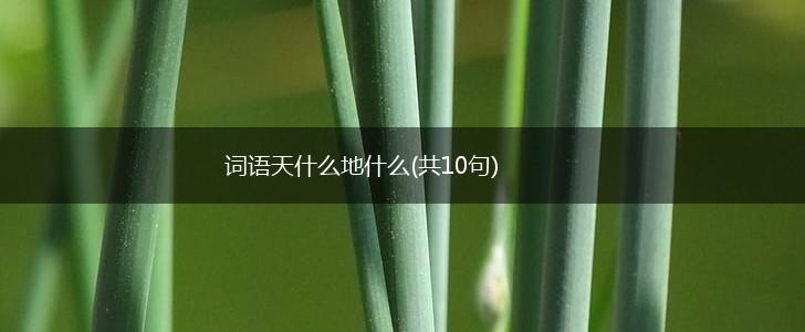 词语天什么地什么(共10句),第1张