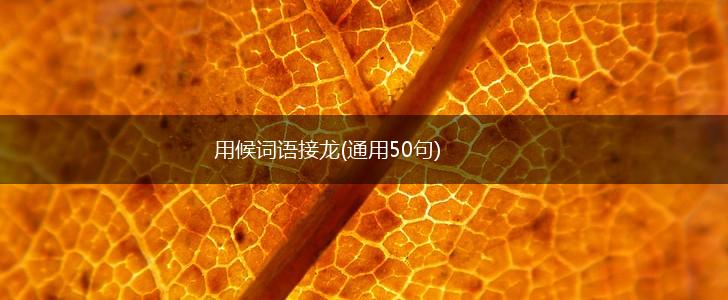 用候词语接龙(通用50句),第1张