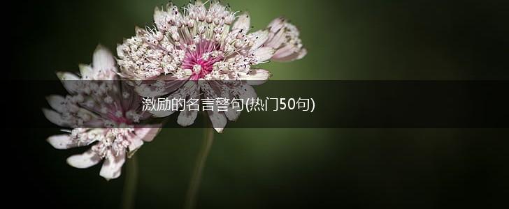 激励的名言警句(热门50句),第1张