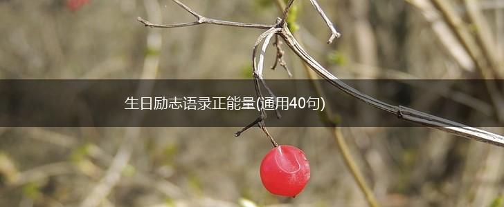 生日励志语录正能量(通用40句),第1张
