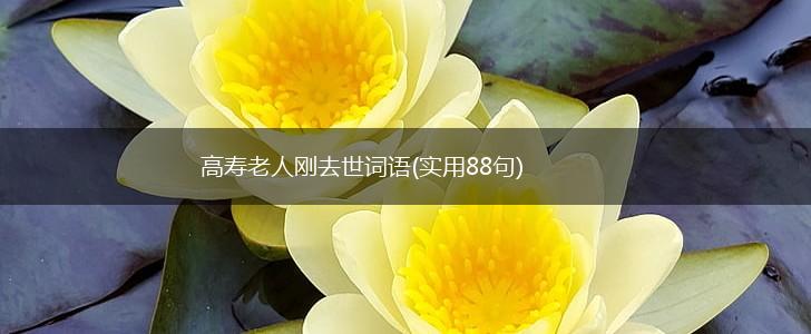 高寿老人刚去世词语(实用88句),第1张