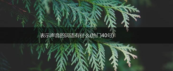 表示声音的词语有什么(热门40句),第1张