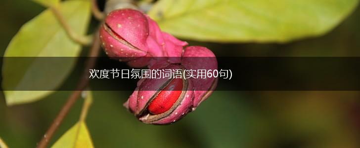 欢度节日氛围的词语(实用60句),第1张