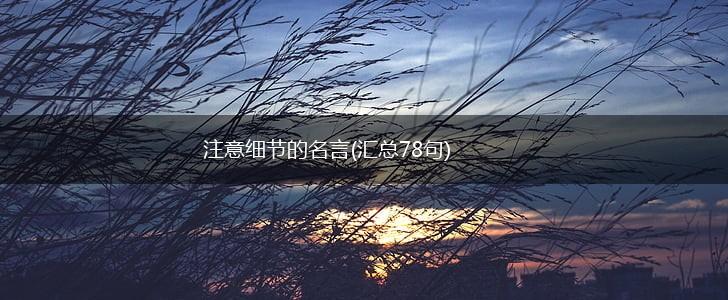 注意细节的名言(汇总78句),第1张