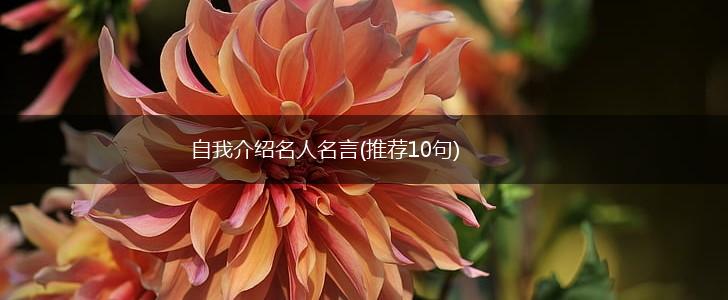 自我介绍名人名言(推荐10句),第1张