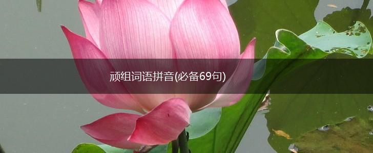顽组词语拼音(必备69句),第1张