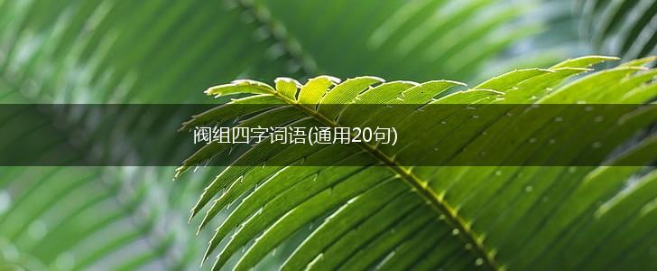 阀组四字词语(通用20句),第1张