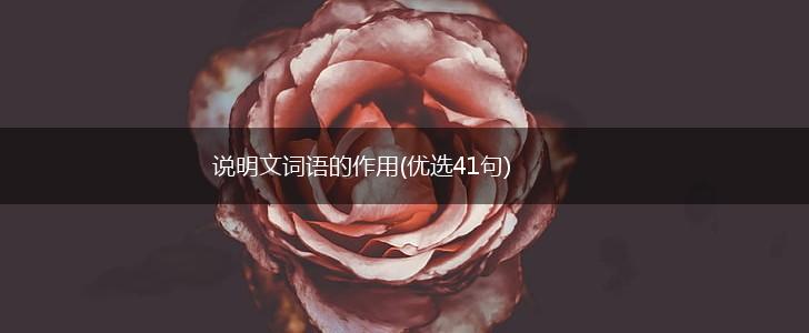 说明文词语的作用(优选41句),第1张