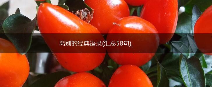 离别的经典语录(汇总58句),第1张