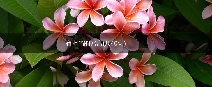 有担当的名言(共40句),第1张