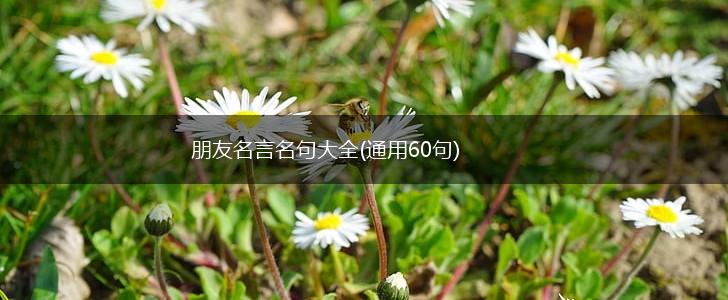 朋友名言名句大全(通用60句),第1张