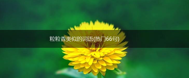 粒粒香类似的词语(热门66句),第1张