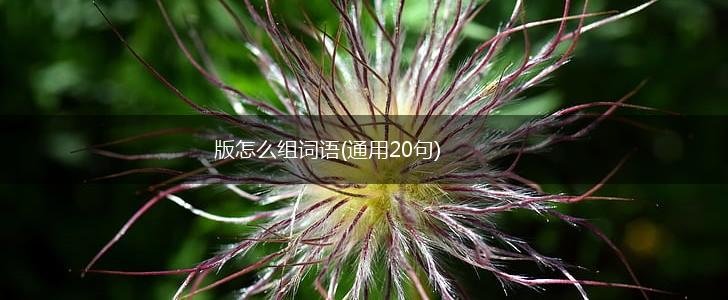 版怎么组词语(通用20句),第1张