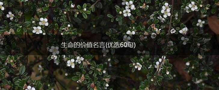 生命的价值名言(优选60句),第1张