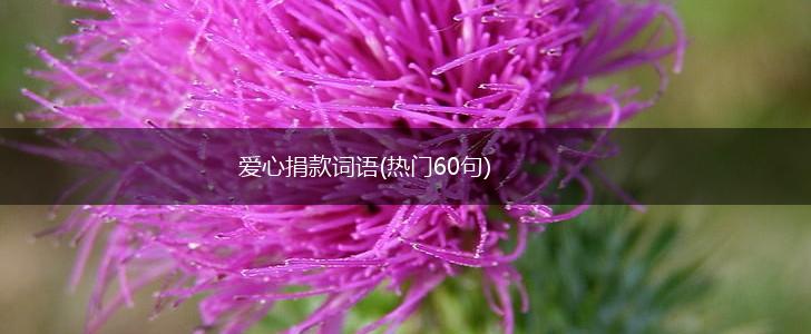 爱心捐款词语(热门60句),第1张