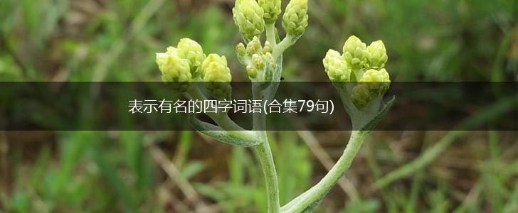 表示有名的四字词语(合集79句),第1张