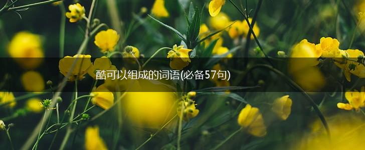 酷可以组成的词语(必备57句),第1张