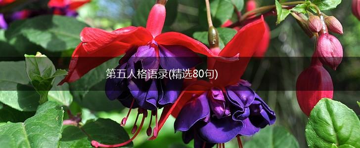 第五人格语录(精选80句),第1张