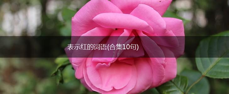 表示红的词语(合集10句),第1张
