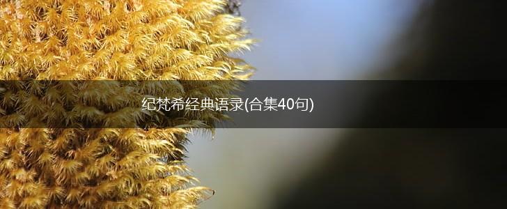 纪梵希经典语录(合集40句),第1张