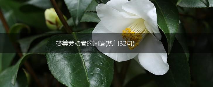 赞美劳动者的词语(热门32句),第1张