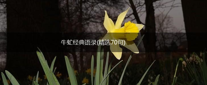 牛虻经典语录(精选70句),第1张