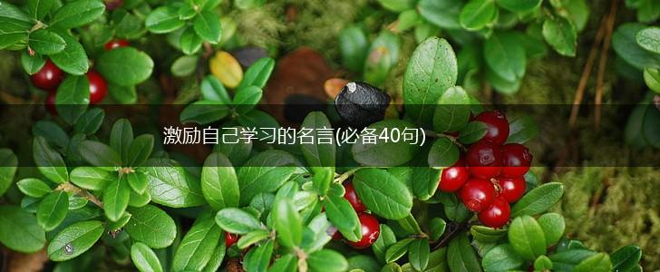 激励自己学习的名言(必备40句),第1张