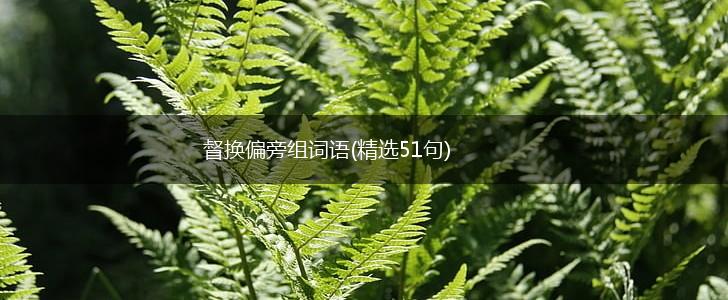 督换偏旁组词语(精选51句),第1张 督换偏旁组词语(精选51句),第1张